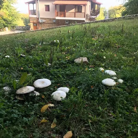 Petropanagia Bed & Breakfast