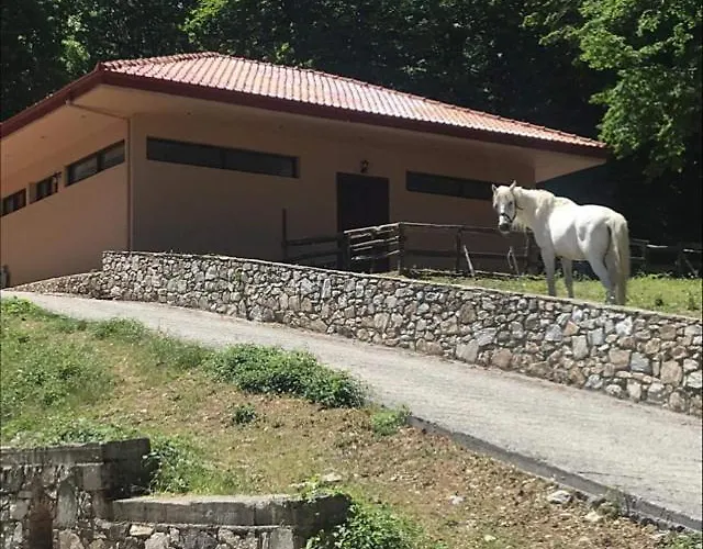 Petropanagia Couette-café Elatochori